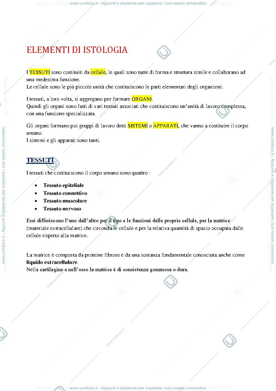Anteprima pagina 1 — tessuto epiteliale