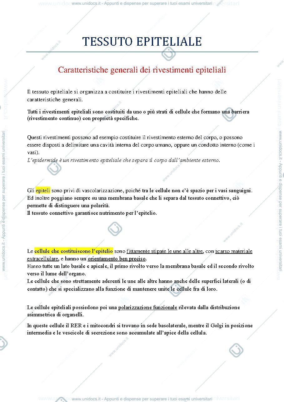 Anteprima pagina 2 — tessuto epiteliale