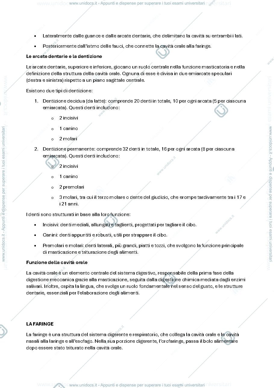 Anteprima pagina 2 — Antomia Umana ( apparato digerente )