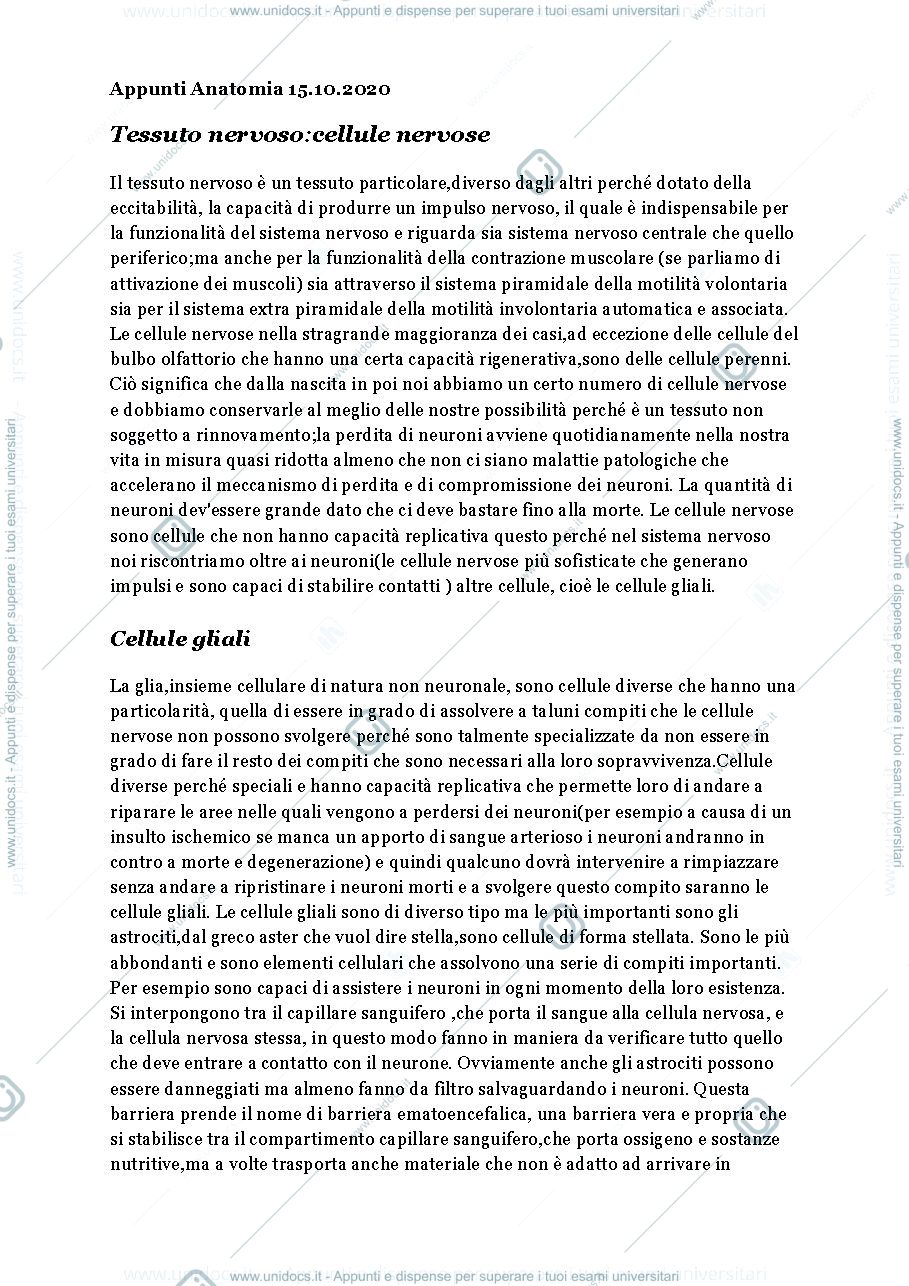 Anteprima pagina 1 — Tessuto Nervoso