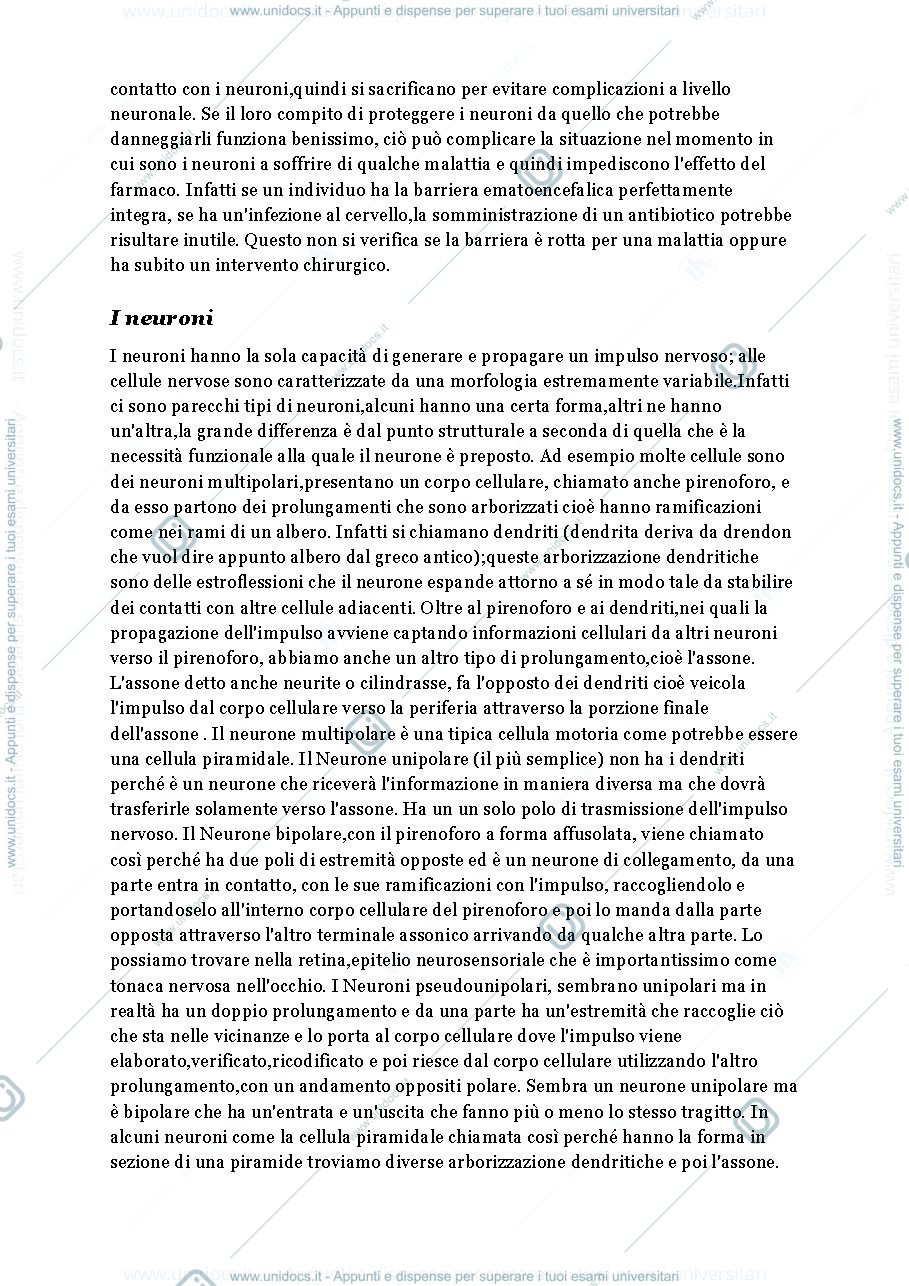 Anteprima pagina 2 — Tessuto Nervoso