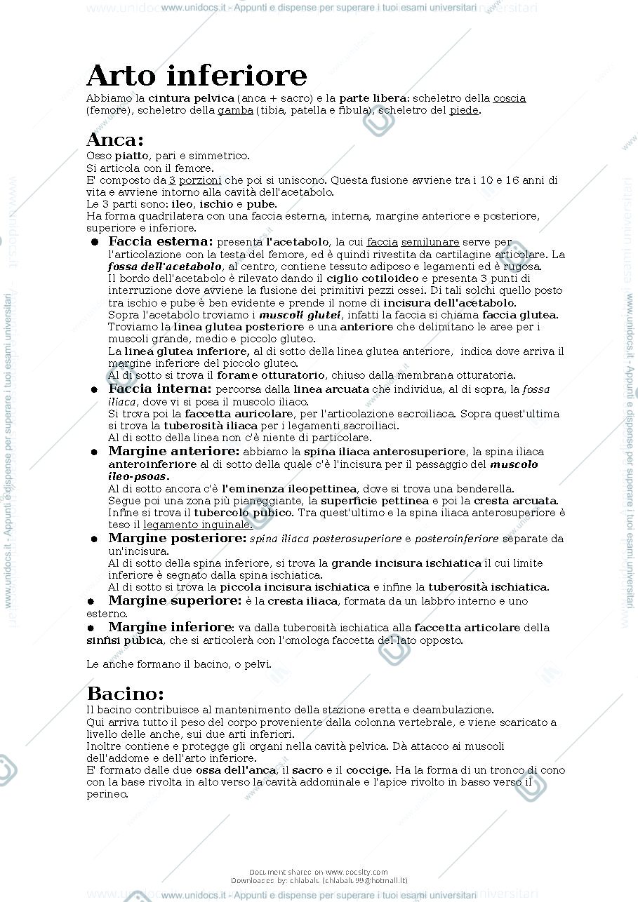 Anteprima pagina 2 — Anatomia apparato locomotore 