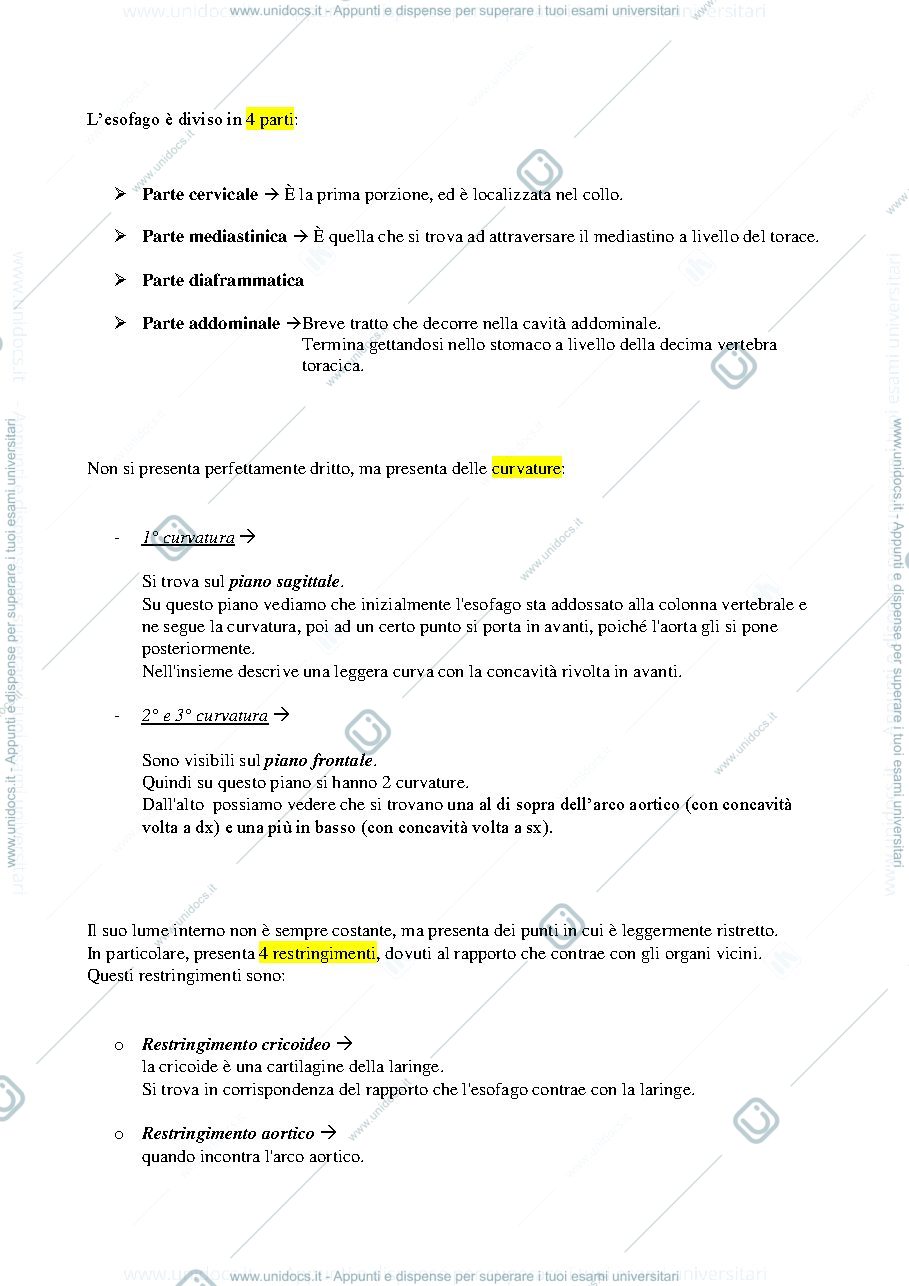 Anteprima pagina 2 — esofago e peritoneo