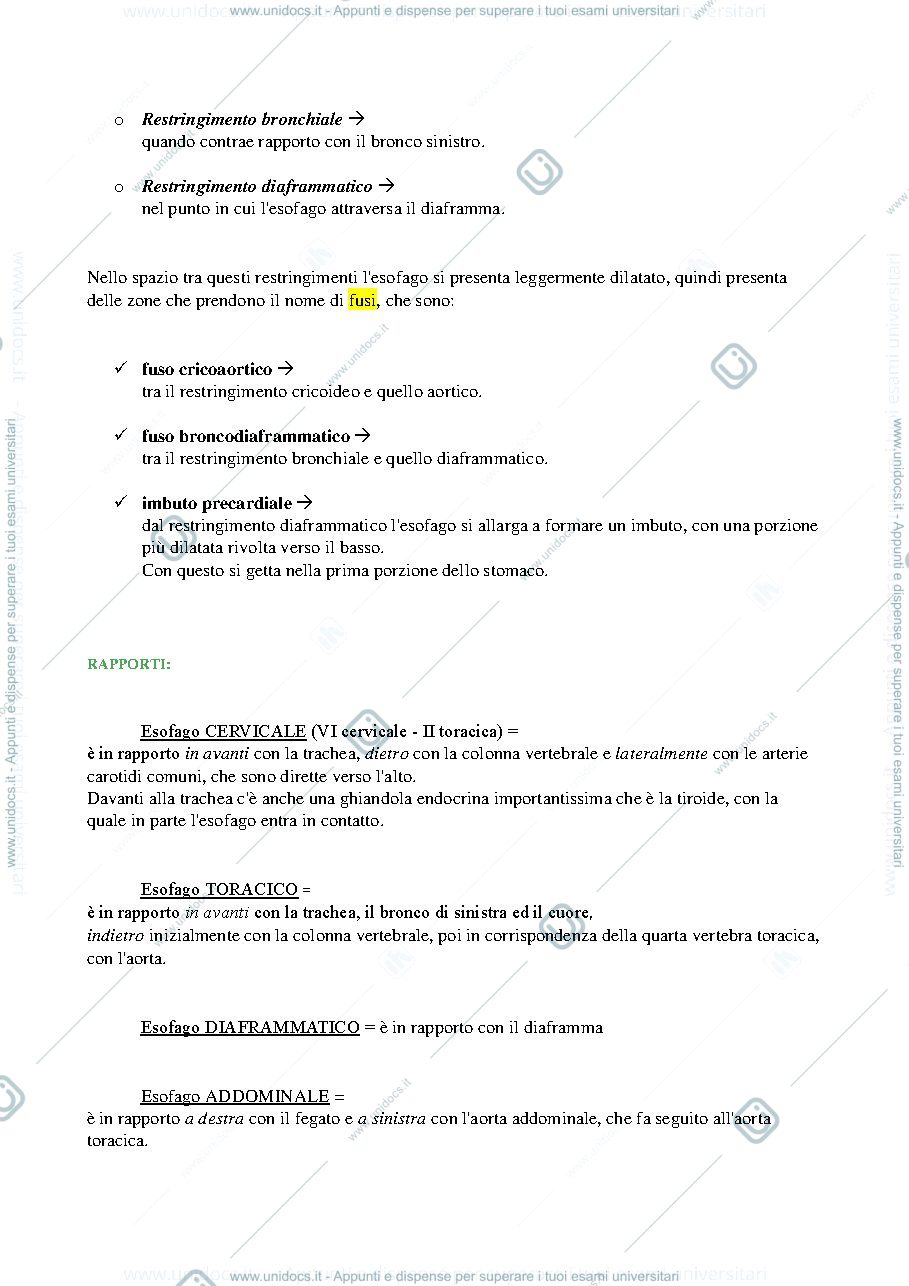 Anteprima pagina 3 — esofago e peritoneo