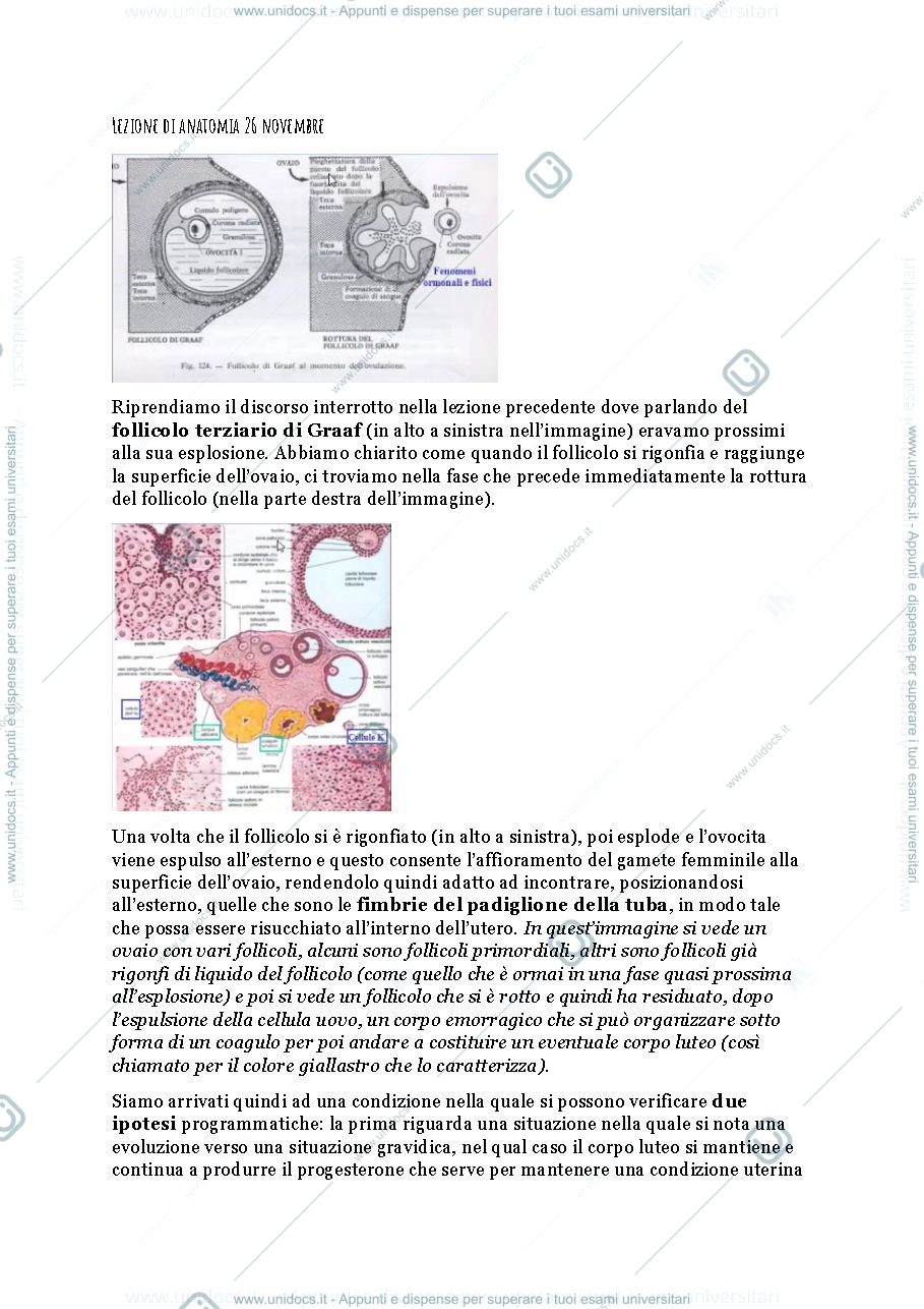 Anteprima pagina 1 — Apparato riproduttivo femminile