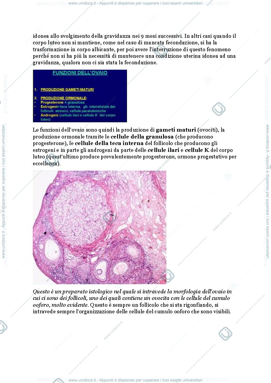 Anteprima pagina 2 — Apparato riproduttivo femminile