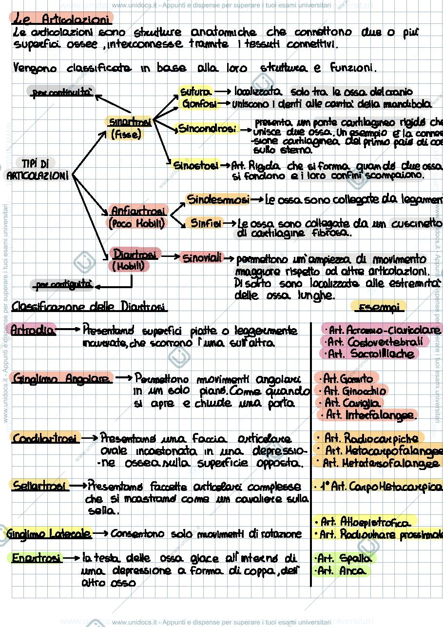 Anteprima pagina 1 — Appunti di Anatomia_ARTICOLAZIONI
