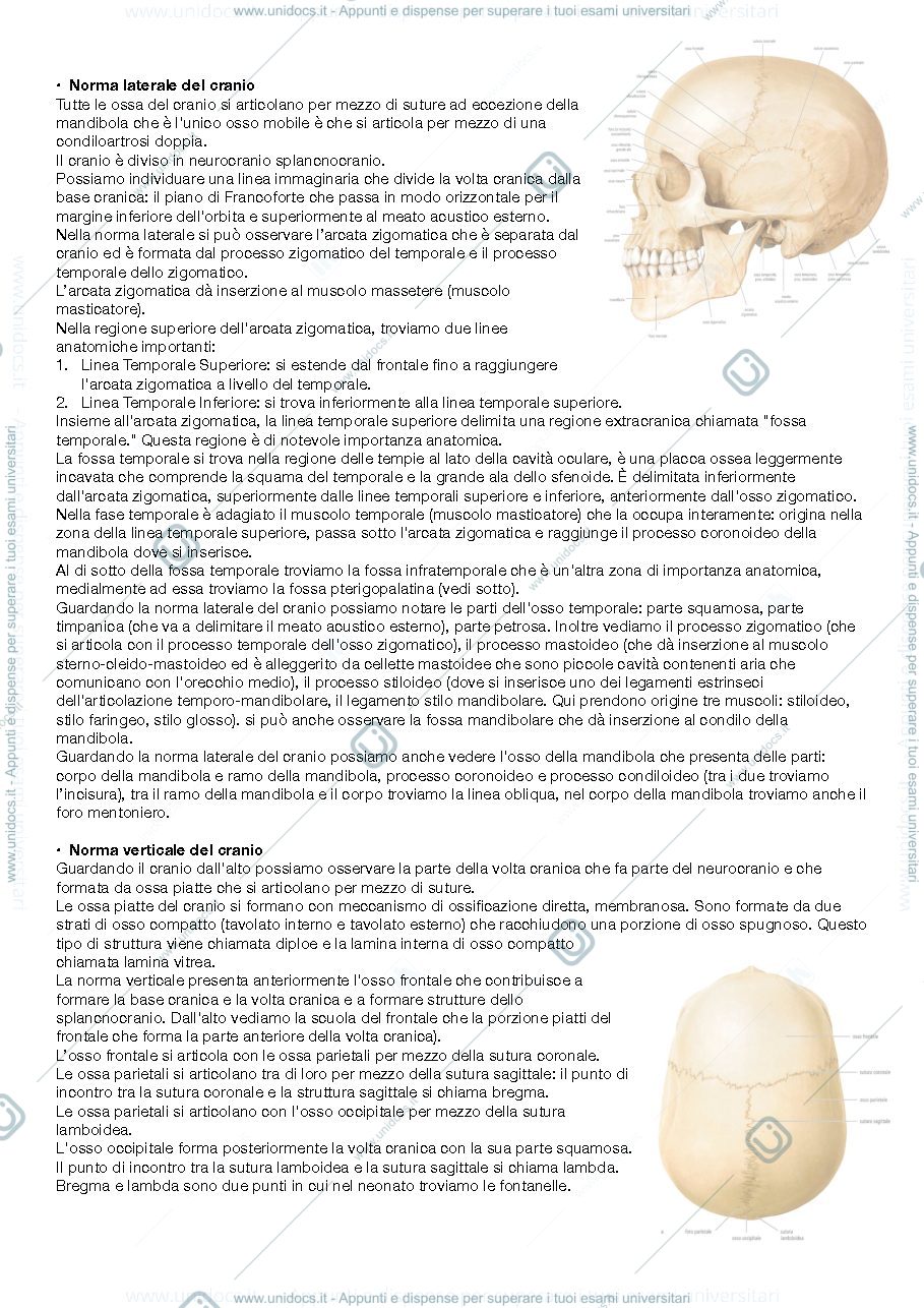 Anteprima pagina 1 — Anatomia regionale