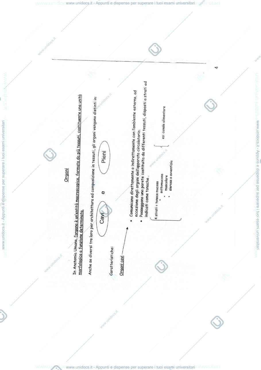 Anteprima pagina 5 — anatomia umana