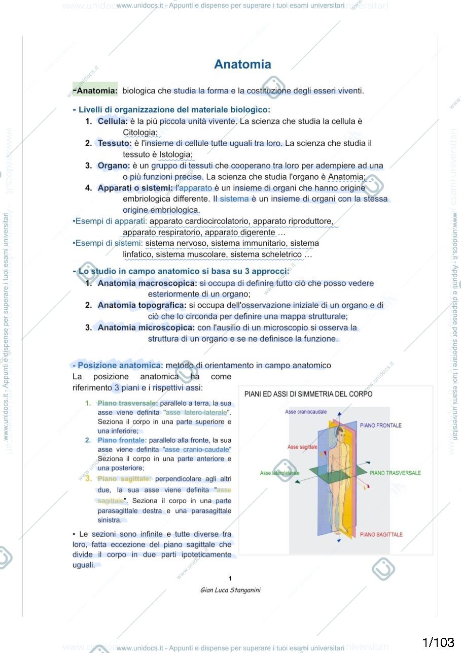 Anteprima pagina 1 —  Anatomia umana 