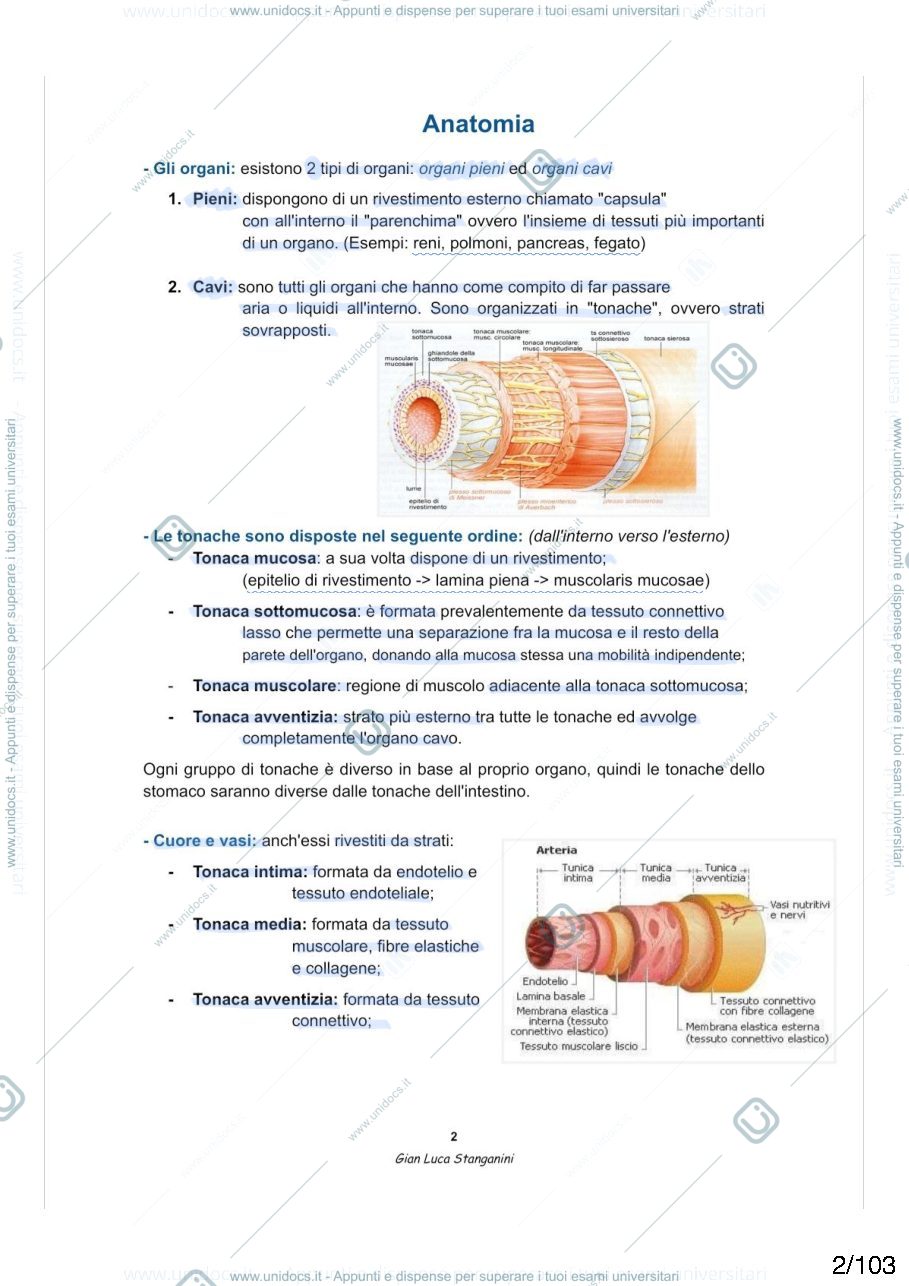 Anteprima pagina 2 —  Anatomia umana 