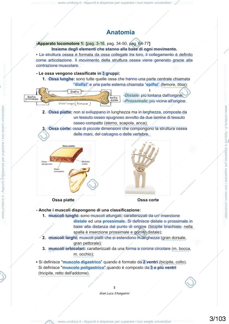Anteprima pagina 3 —  Anatomia umana 
