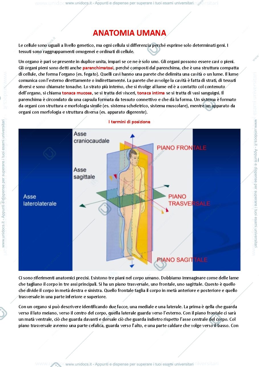 Anteprima pagina 1 — App. Cardiocircolatorio, Respiratorio e Digerente