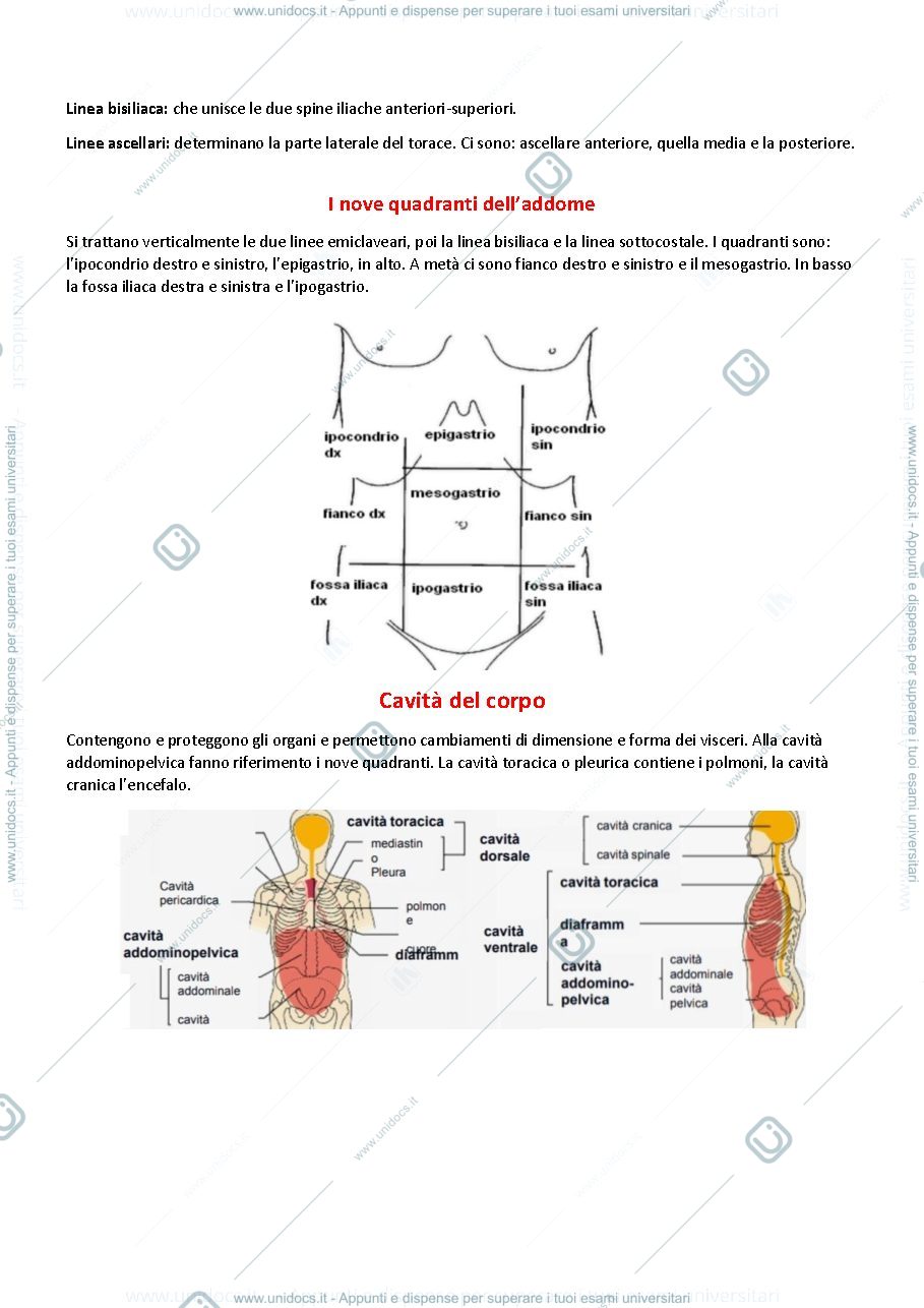 Anteprima pagina 3 — App. Cardiocircolatorio, Respiratorio e Digerente