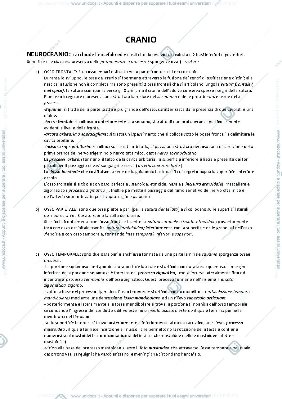 Anteprima pagina 1 — OSSA DEL CRANIO 