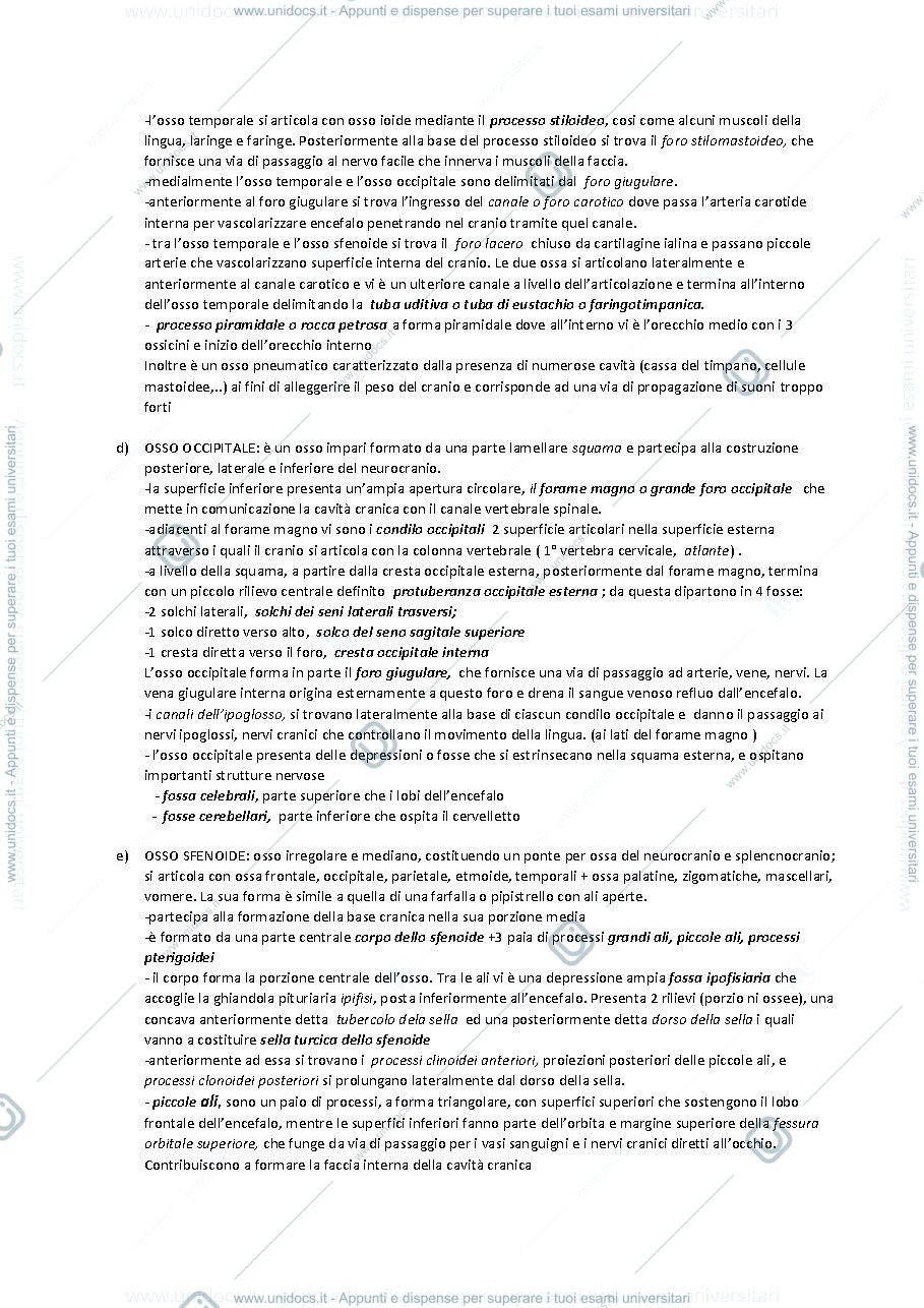 Anteprima pagina 2 — OSSA DEL CRANIO 