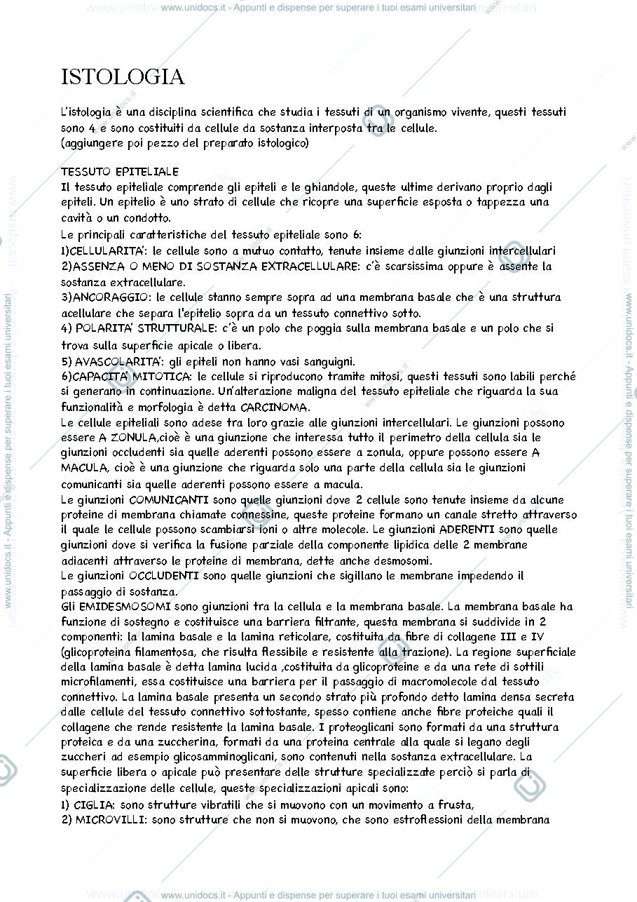 Anteprima pagina 1 — Anatomia Umana