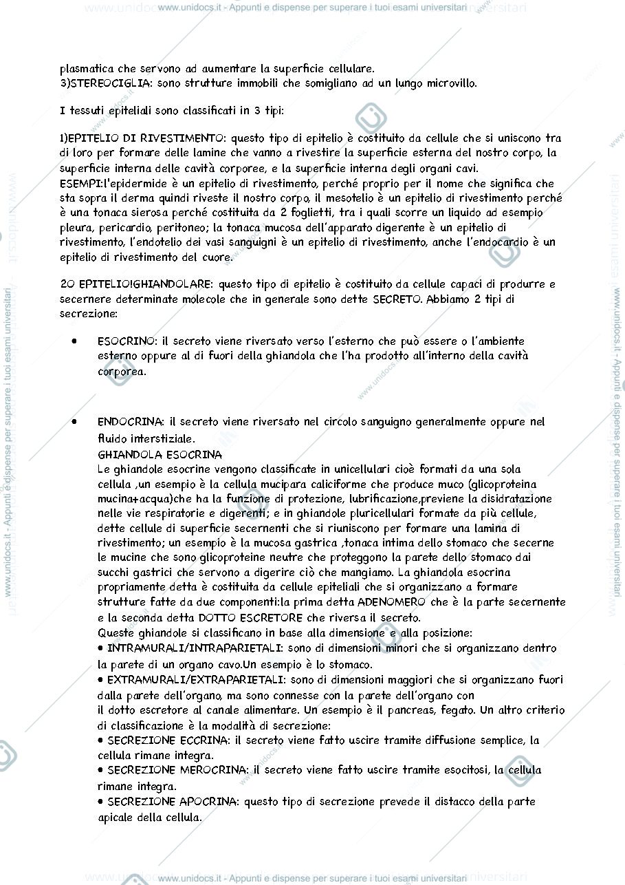 Anteprima pagina 2 — Anatomia Umana