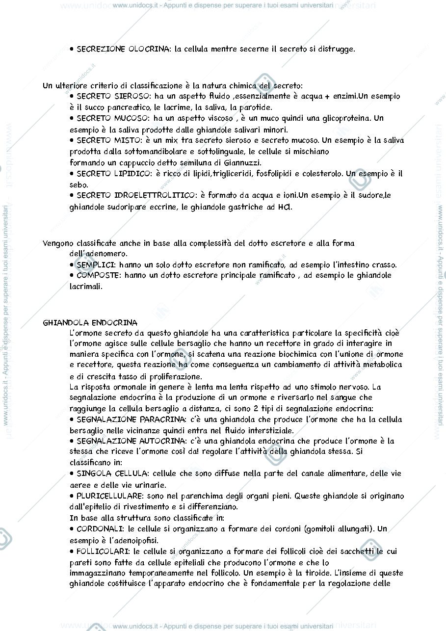 Anteprima pagina 3 — Anatomia Umana