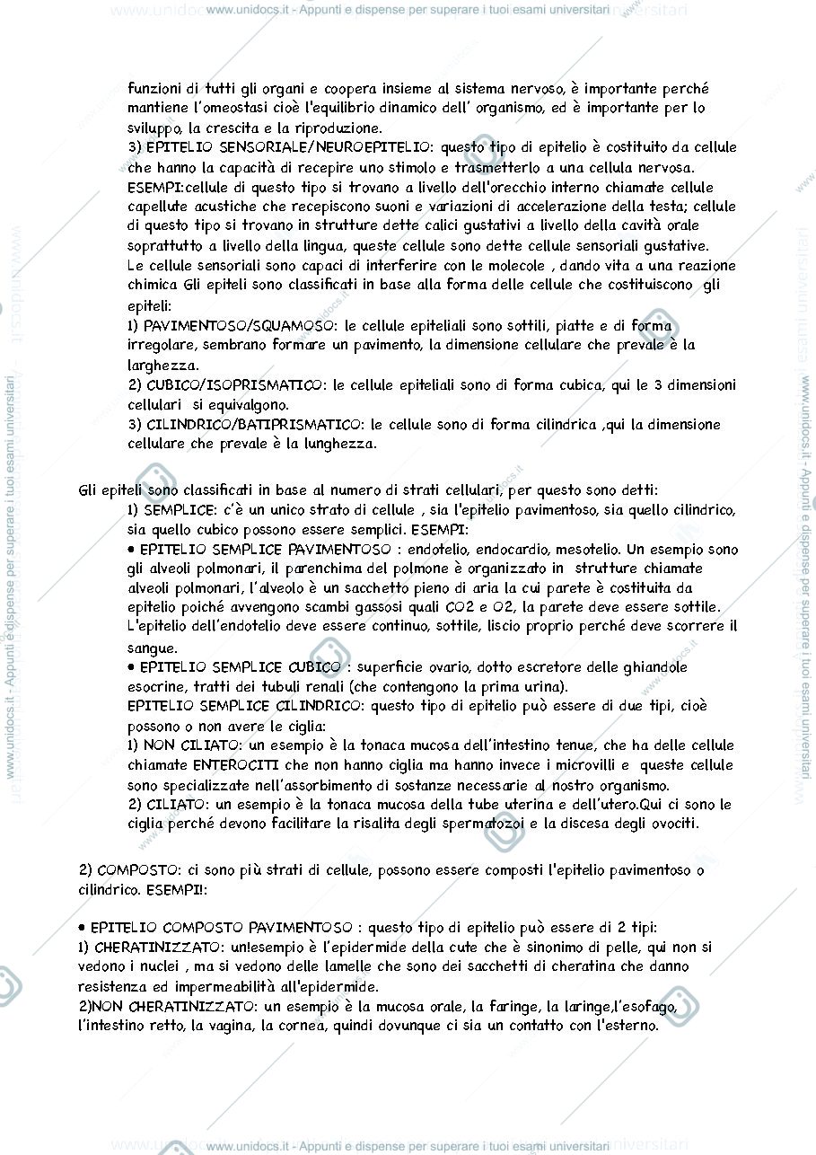 Anteprima pagina 4 — Anatomia Umana