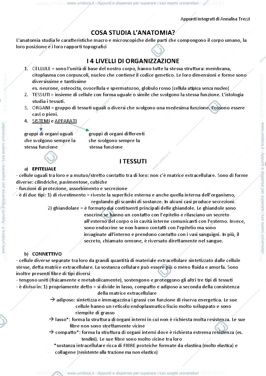Anteprima pagina 1 — Anatomia umana 