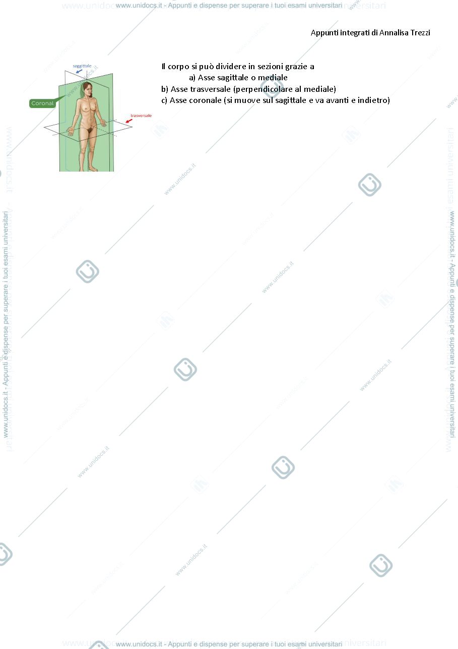 Anteprima pagina 3 — Anatomia umana 