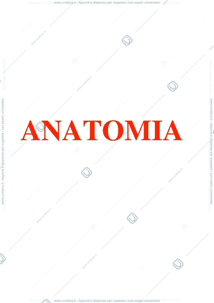 Anteprima pagina 1 — anatomia 