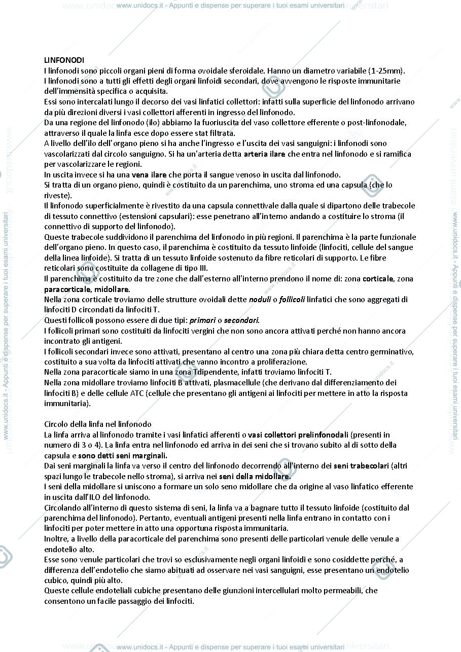Anteprima pagina 1 — L’apparato linfatico 