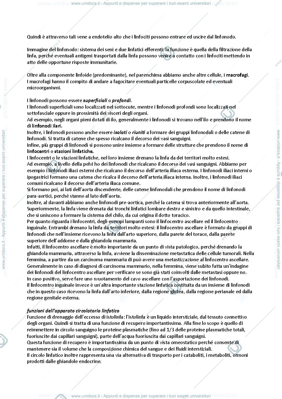 Anteprima pagina 2 — L’apparato linfatico 