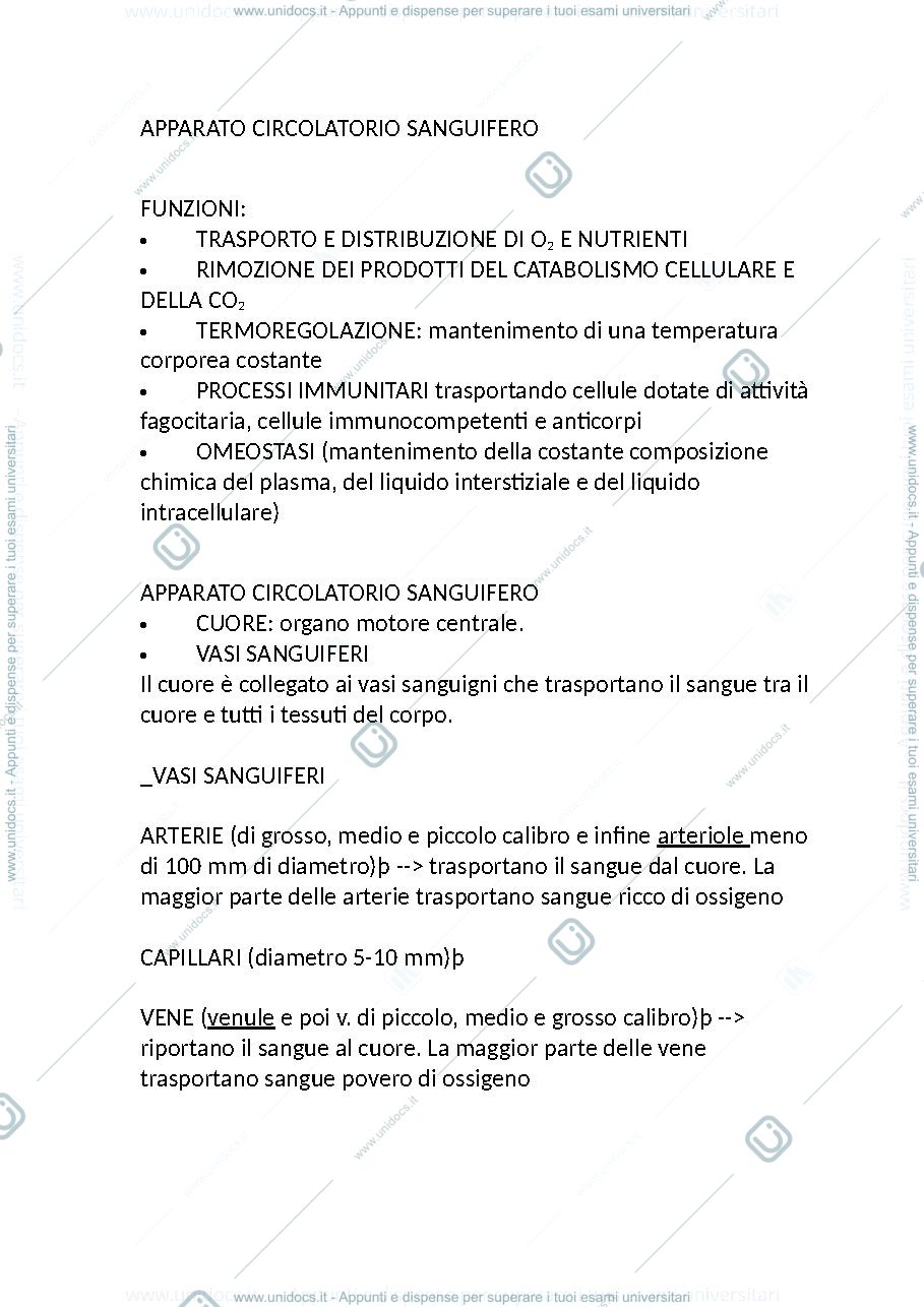 Anteprima pagina 1 — anatomia