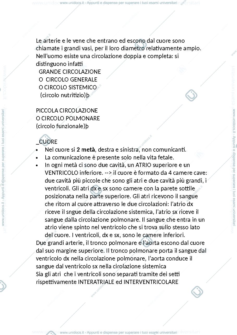 Anteprima pagina 2 — anatomia