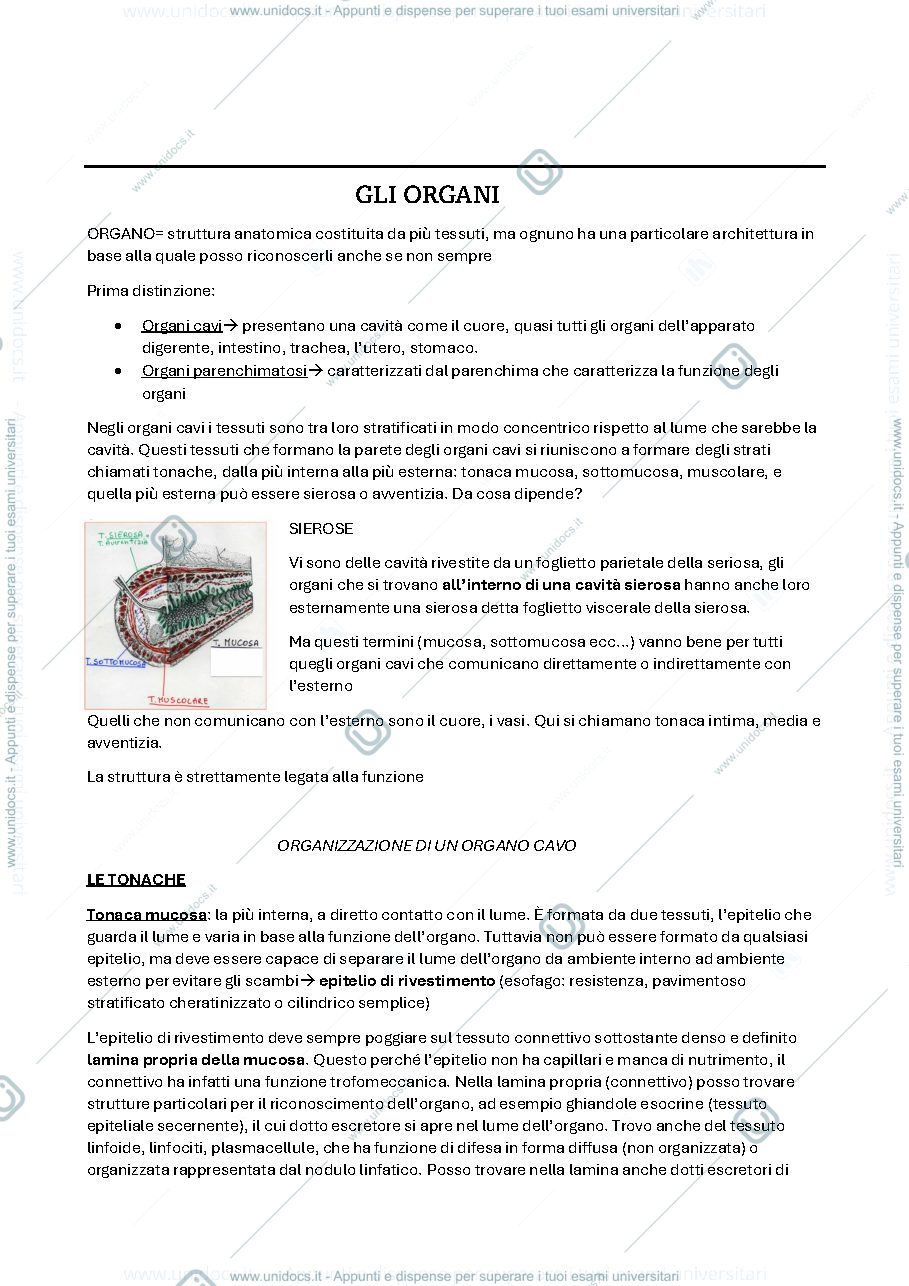Anteprima pagina 1 — organi introduzione