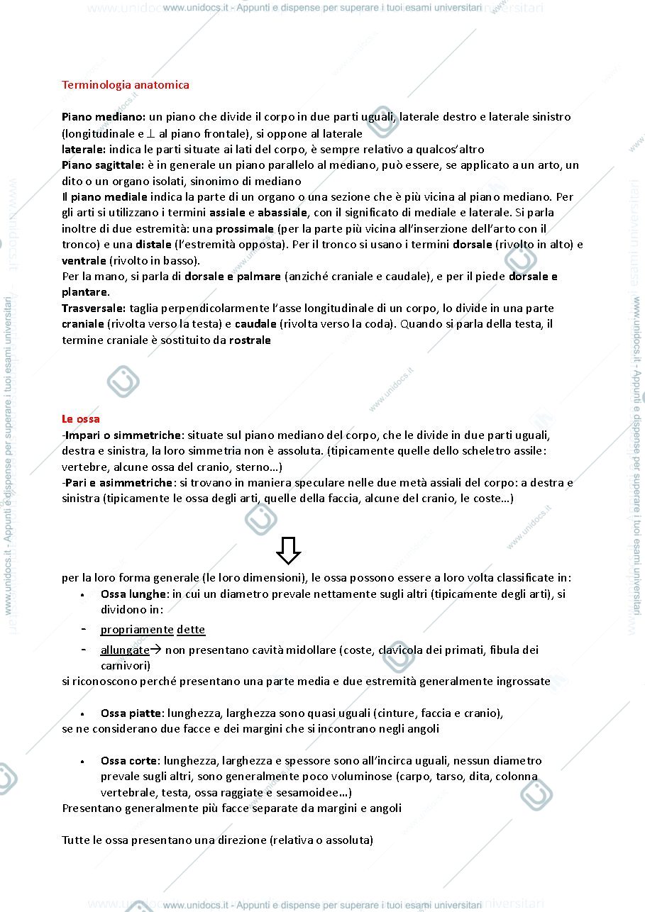 Anteprima pagina 1 — osteologia