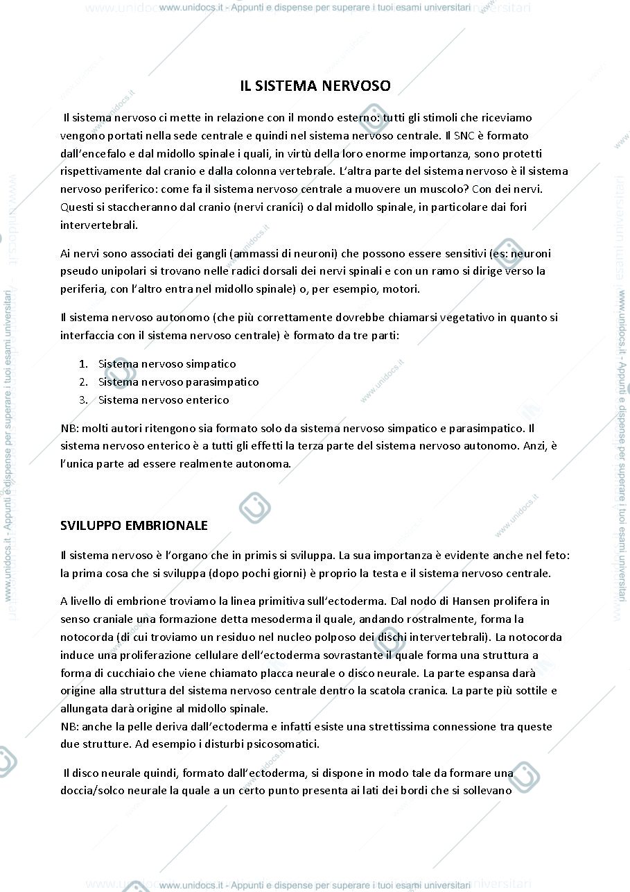 Anteprima pagina 1 — Anatomia II