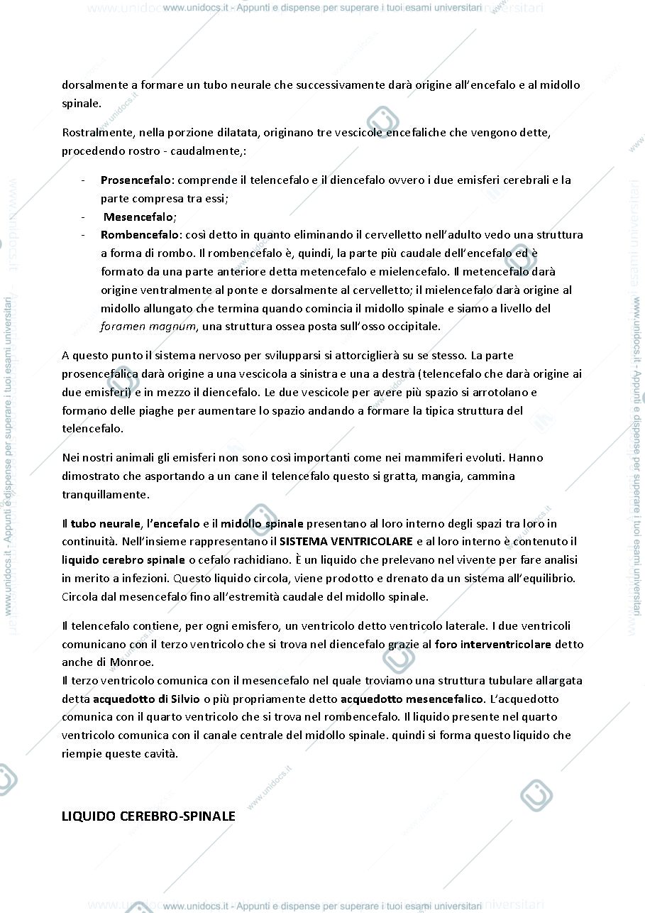 Anteprima pagina 2 — Anatomia II