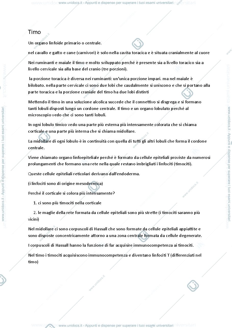 Anteprima pagina 1 — timo e linfonodi