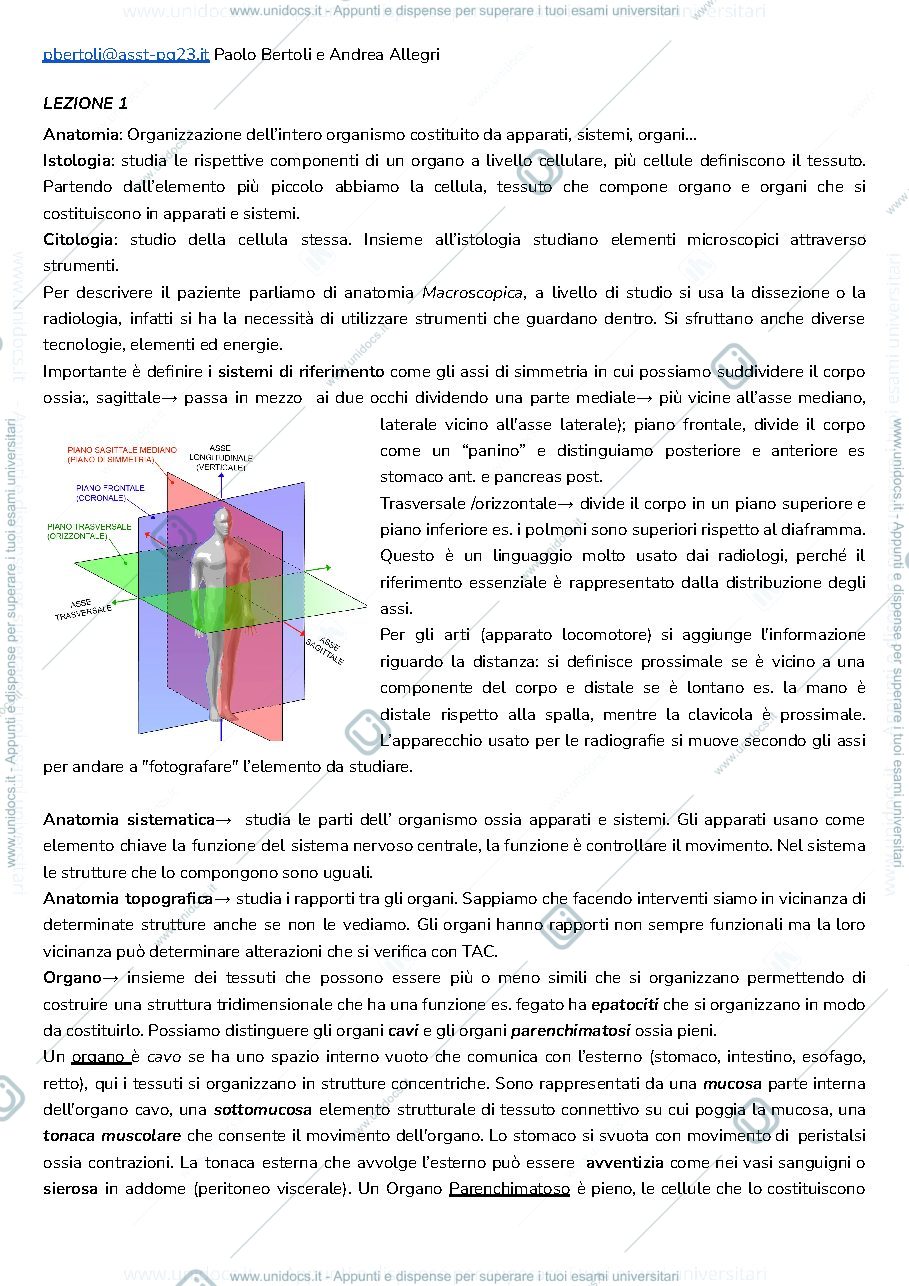 Anteprima pagina 1 — anatomia