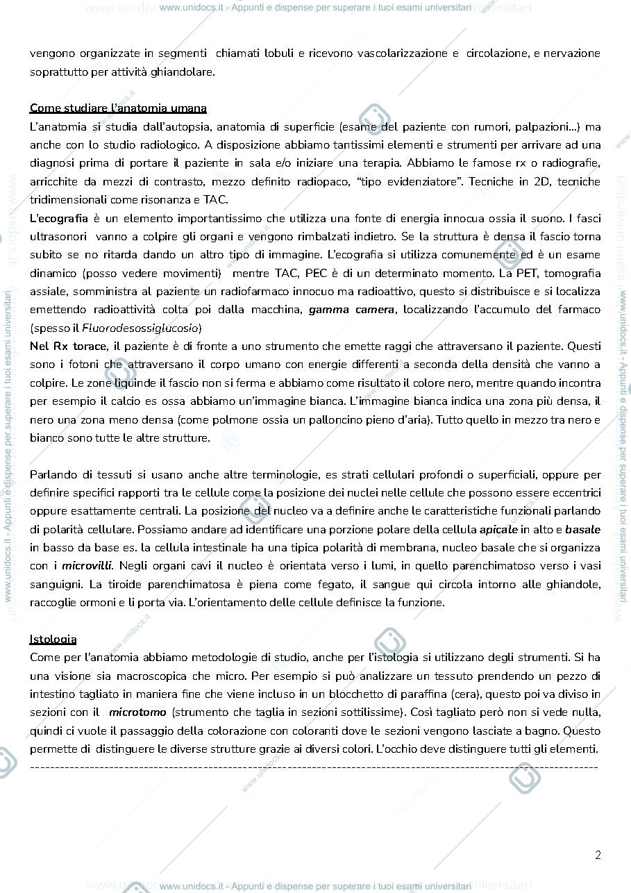 Anteprima pagina 2 — anatomia