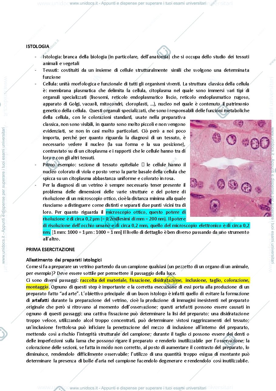 Anteprima pagina 1 — istologia