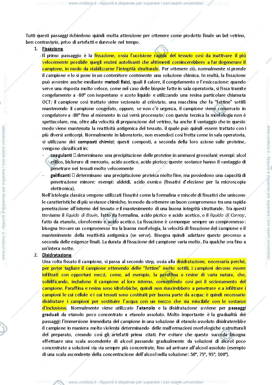 Anteprima pagina 2 — istologia