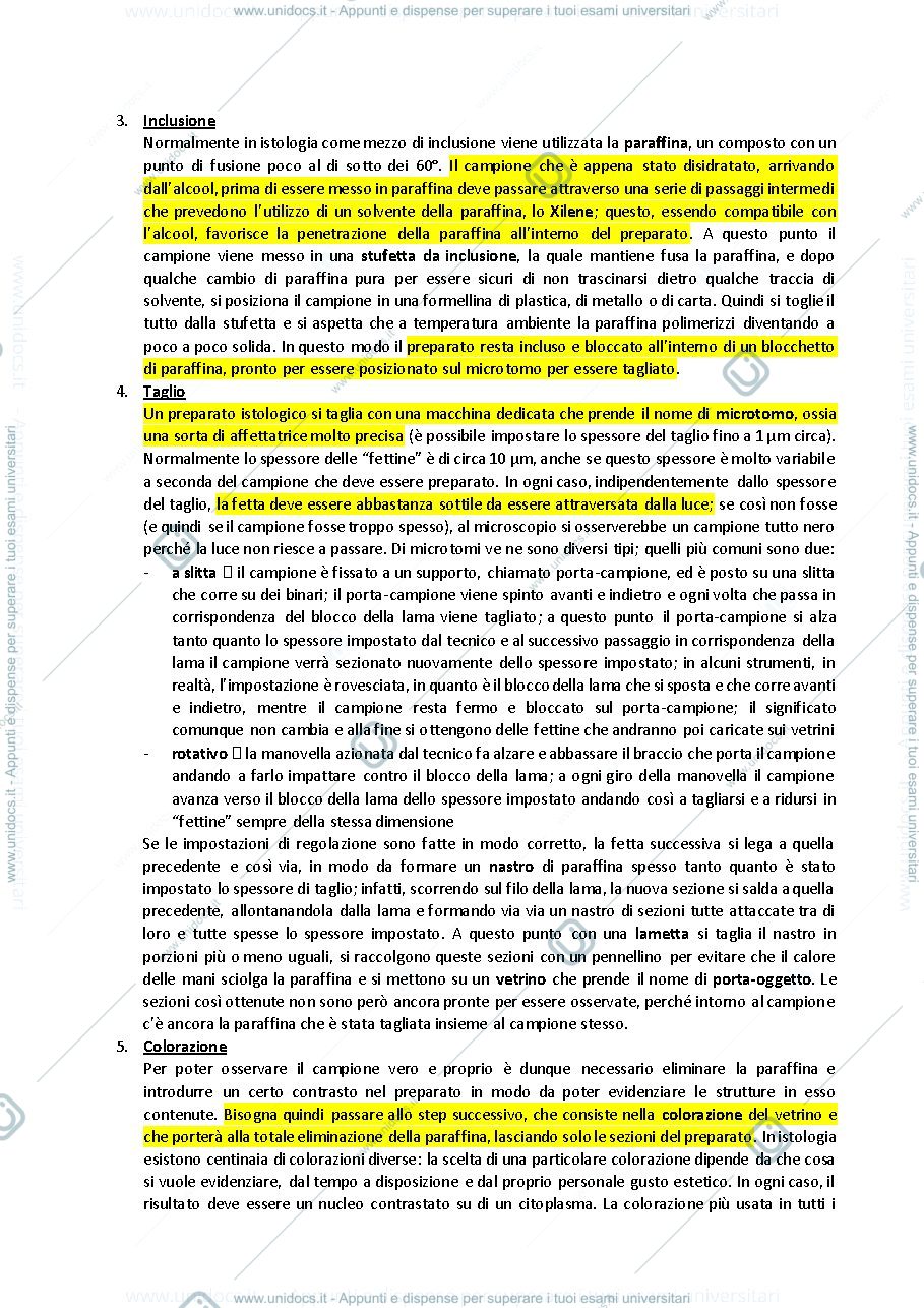 Anteprima pagina 3 — istologia