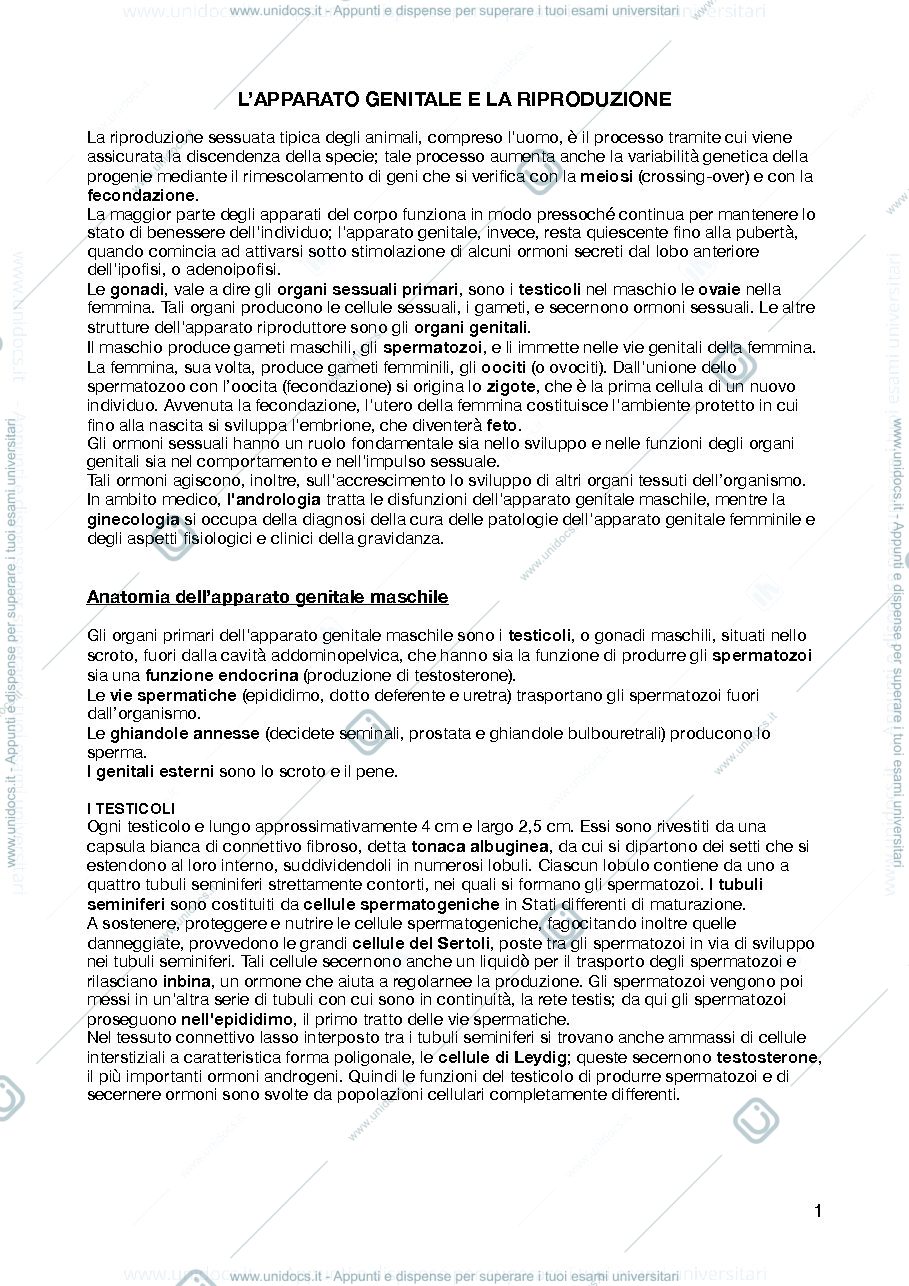 Anteprima pagina 1 — APPARATO GENITALE