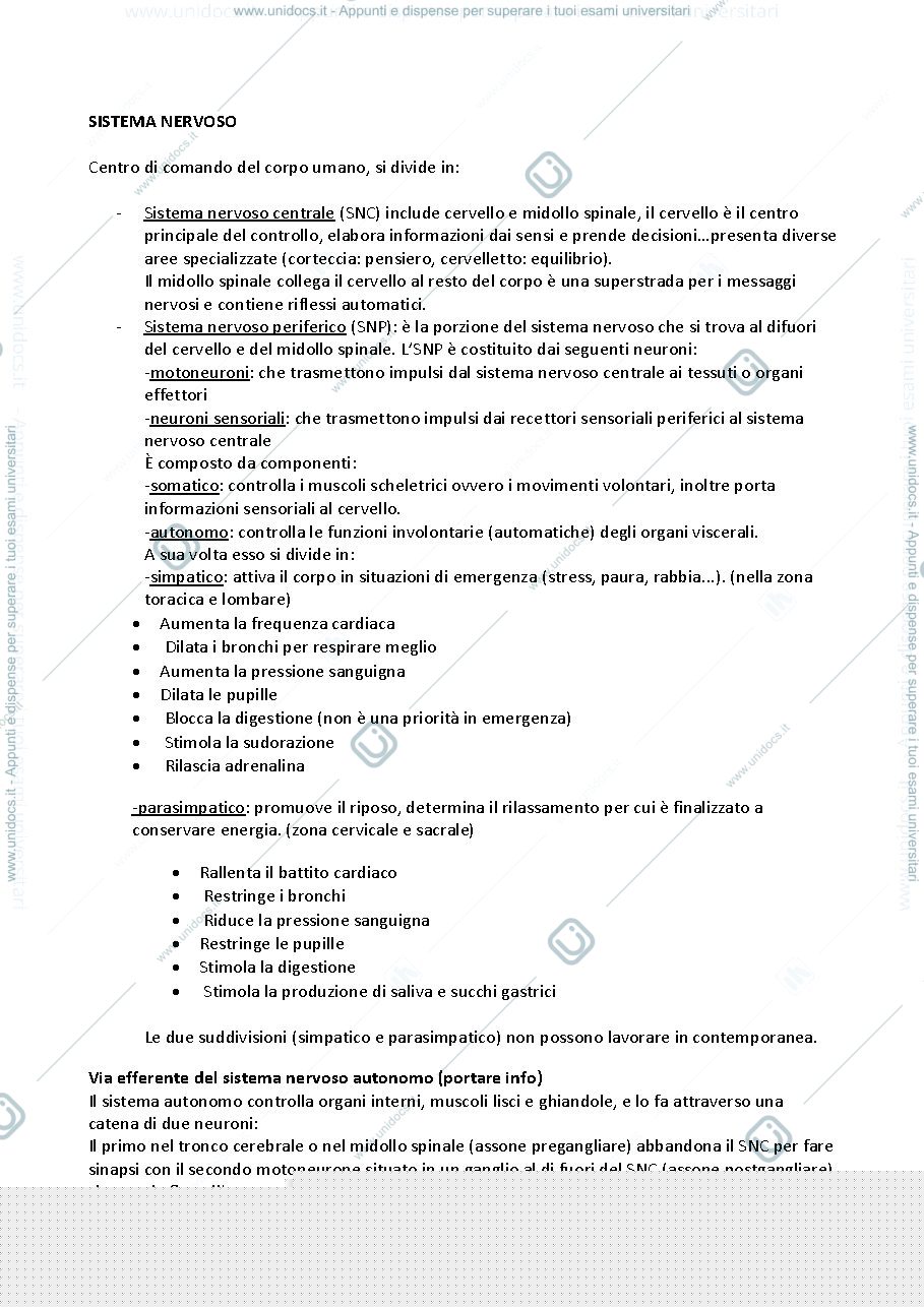 Anteprima pagina 1 — Sistema nervoso