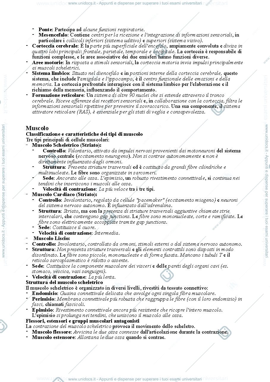 Anteprima pagina 3 — Anatomofisiopatologia completo 