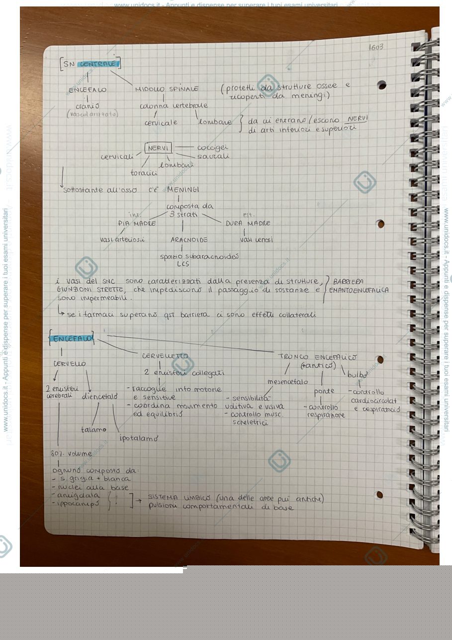 Anteprima pagina 2 — anatomofisiopatologia umana