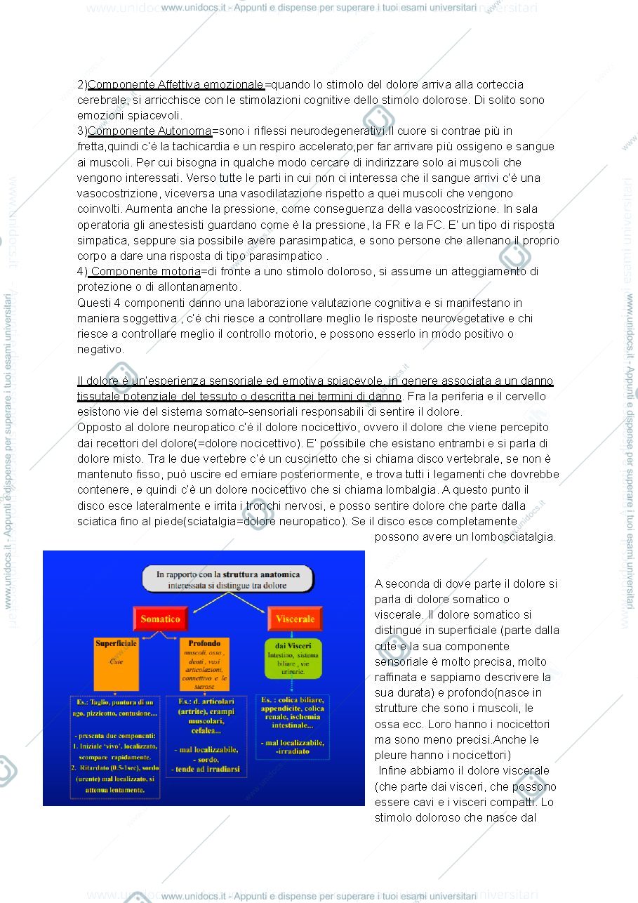 Anteprima pagina 2 — Anestesia e Analgesia 