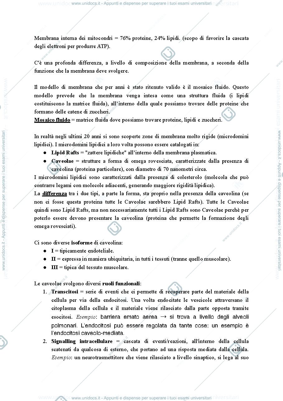 Anteprima pagina 2 — fisiologia 