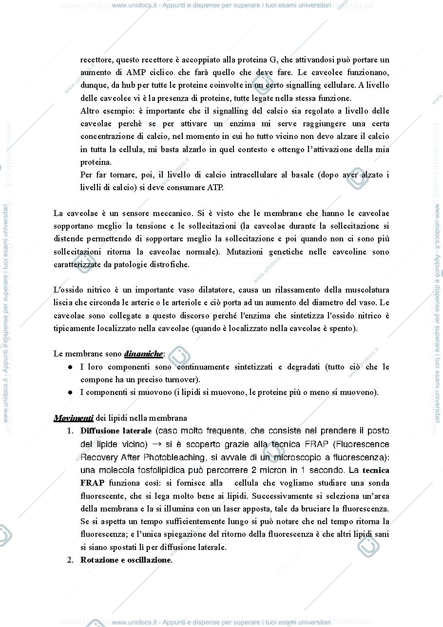 Anteprima pagina 3 — fisiologia 