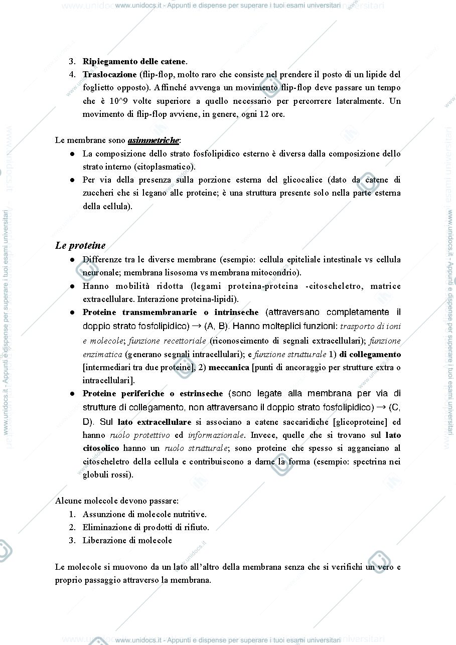 Anteprima pagina 4 — fisiologia 