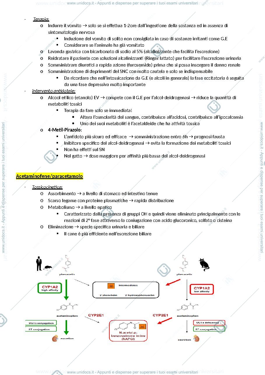 Anteprima pagina 3 — Tossicologia adc1